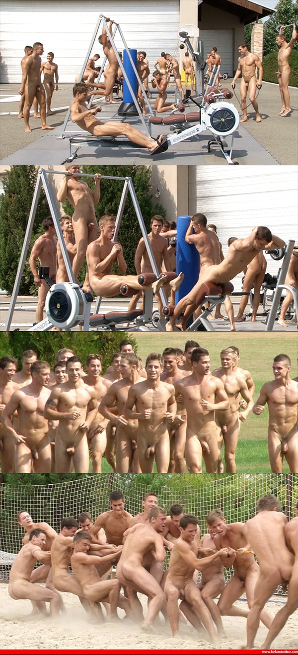 Bel Ami Orgy - 24 Guys in Bel Ami Bareback Orgy - GayDemon