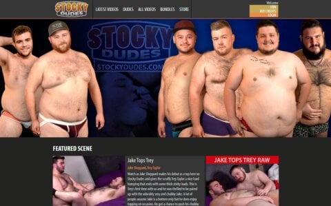 Gay Chub Porn Sites - GayDemon
