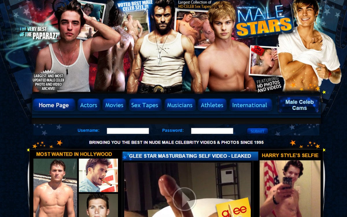 Guy Celeb Porn - Male Stars: Review of malestars.com - GayDemon